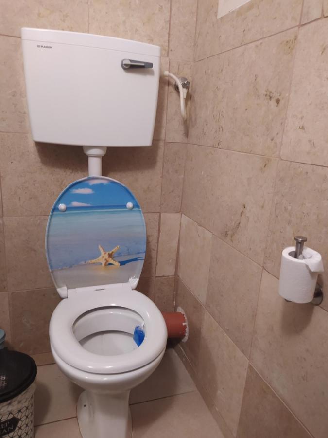 אצלנו בקיבוץ Apartment Amir Exterior foto